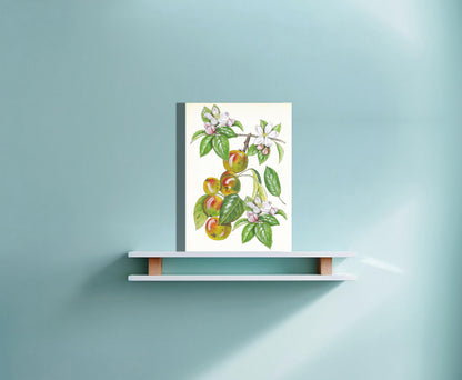 Wanddecoratie "Wilde appel, het leven van"