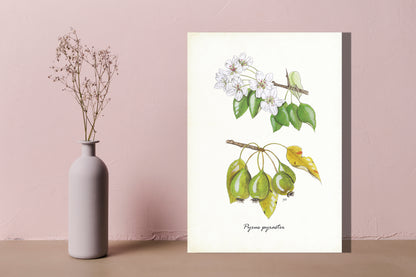 Wanddecoratie "Wilde peer"
