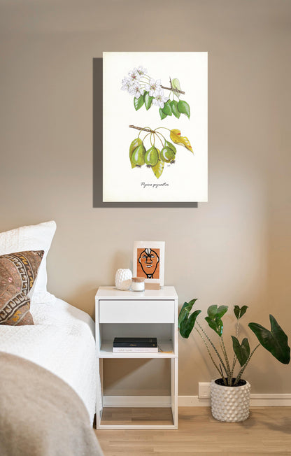 Wanddecoratie "Wilde peer"
