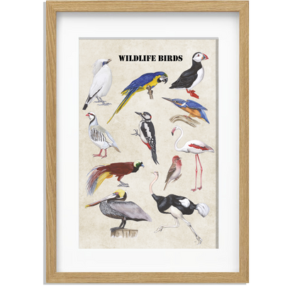 Ingelijst "Wildlife Birds"