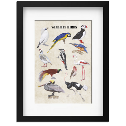Ingelijst "Wildlife Birds"