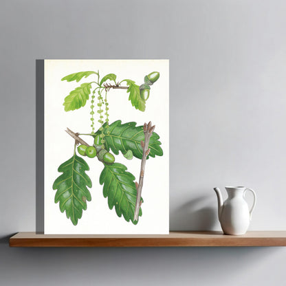 Wanddecoratie "Wintereik, het leven van"