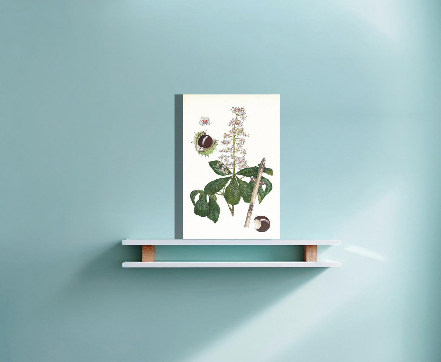 Wanddecoratie "Witte paardenkastanje, het leven van"
