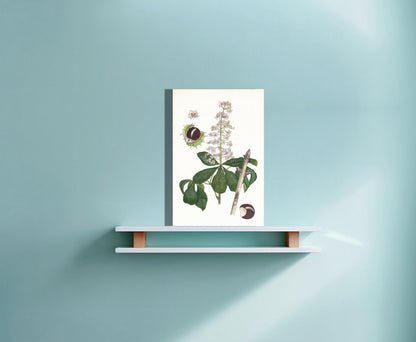 Wanddecoratie "Witte paardenkastanje, het leven van"