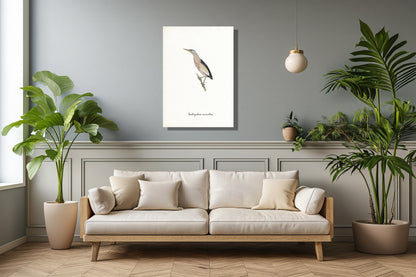 Wanddecoratie "Woudaapje"