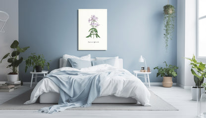 Wanddecoratie "Zeepkruid"