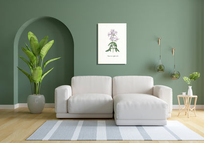 Wanddecoratie "Zeepkruid"