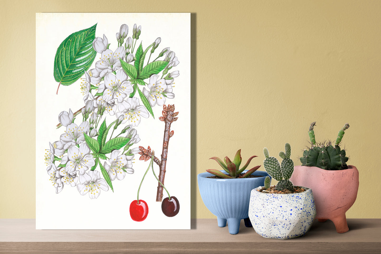 Wanddecoratie "Zoete kers, het leven van"