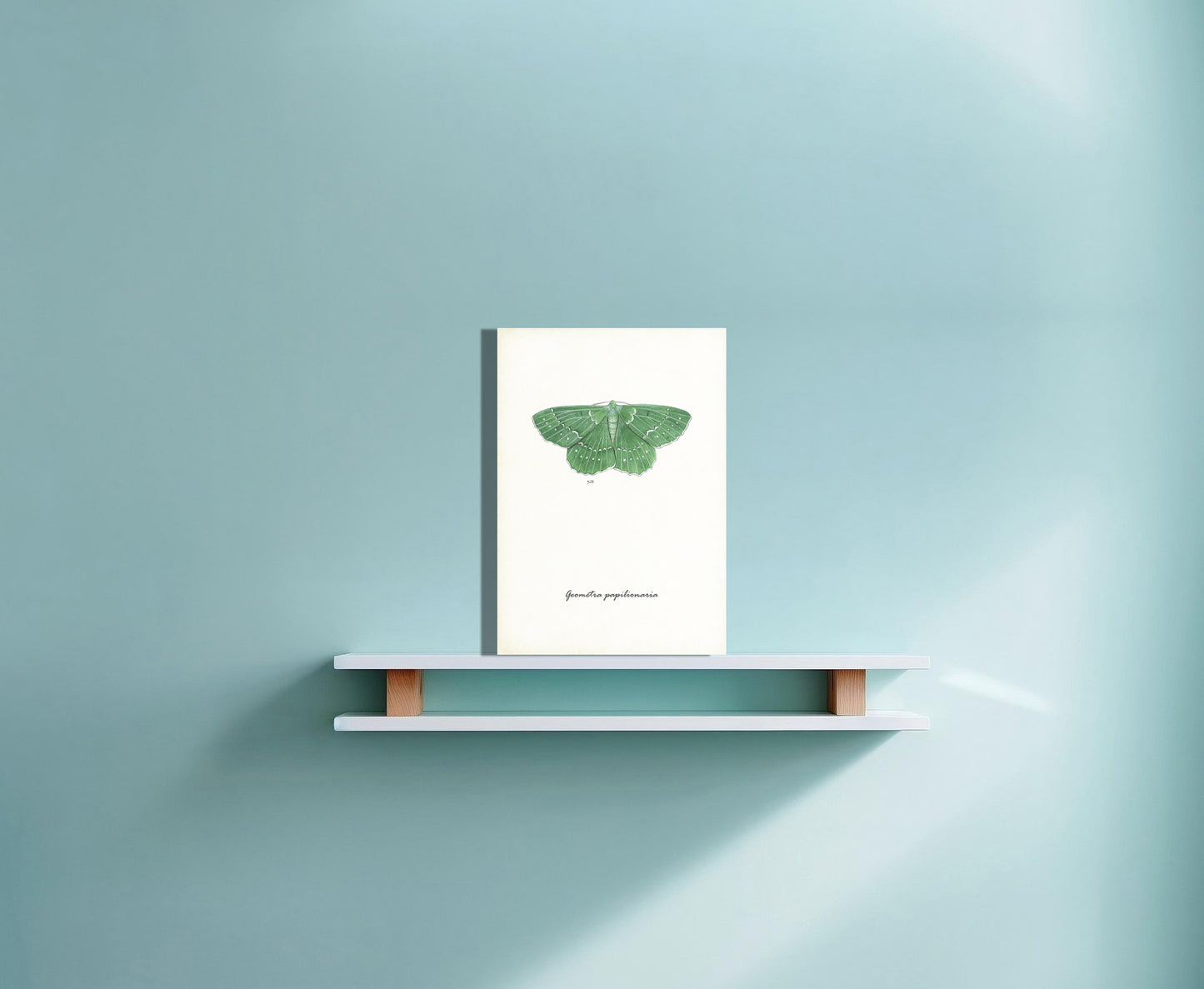 Wanddecoratie "Zomervlinder"