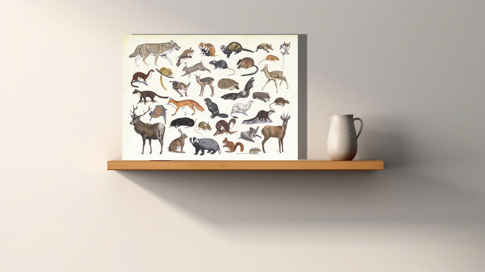 Wanddecoratie "Poster zoogdieren"