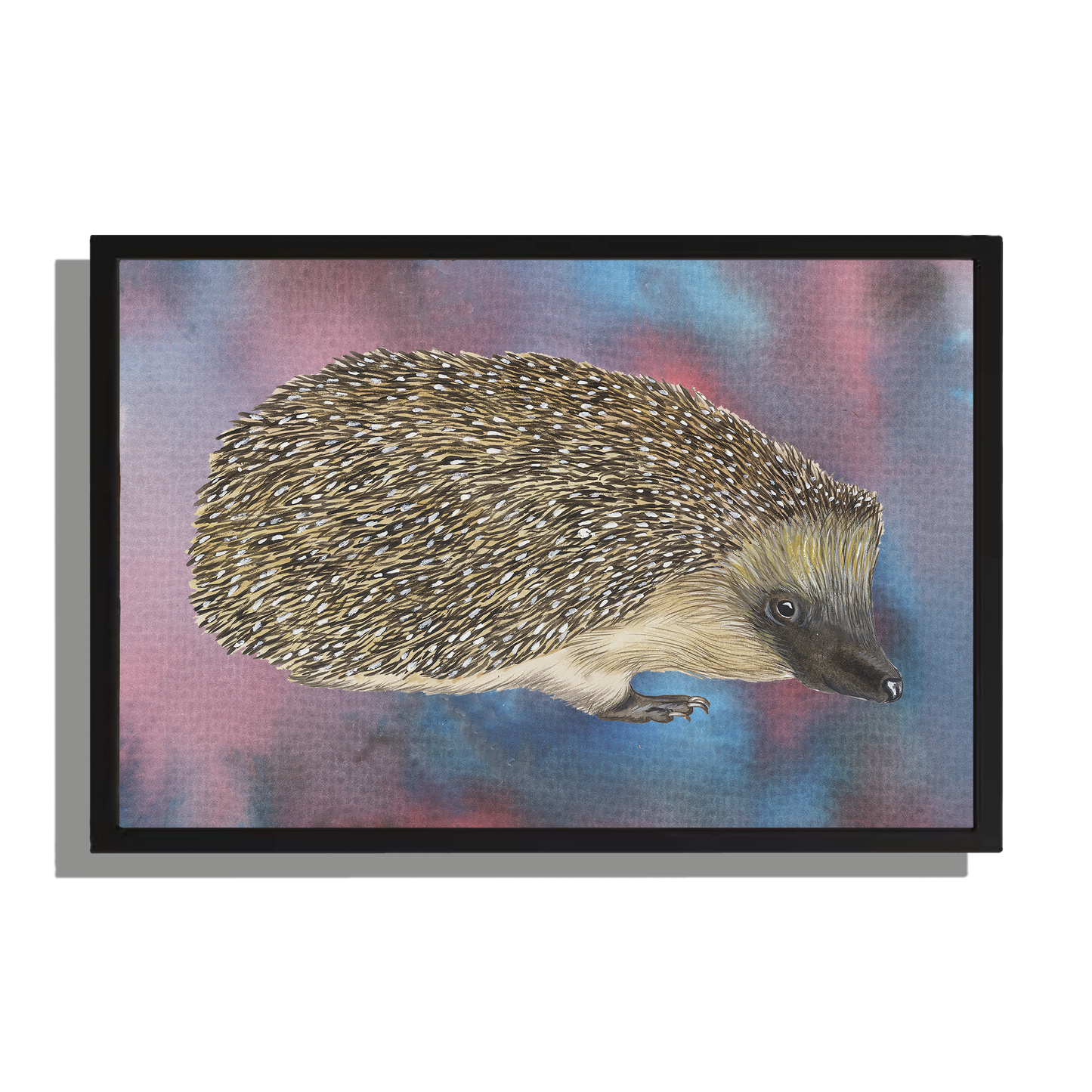 Ingelijst "Egel"
