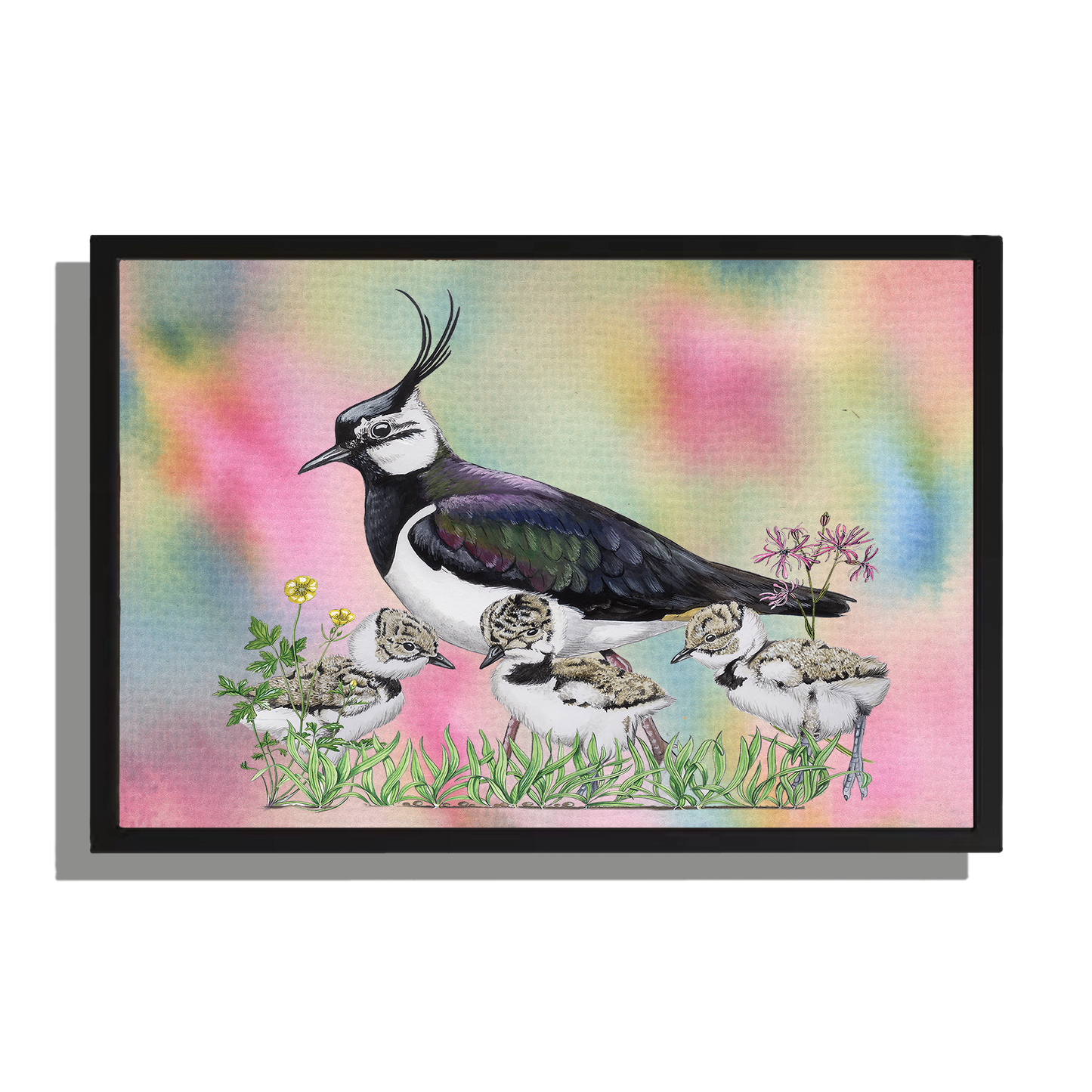 Wanddecoratie "Kievit"