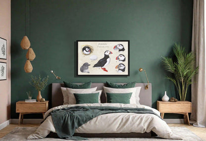 Ingelijst "Puffins, het leven van"