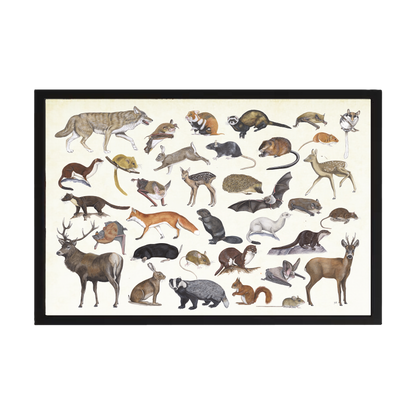 Wanddecoratie "Poster zoogdieren"