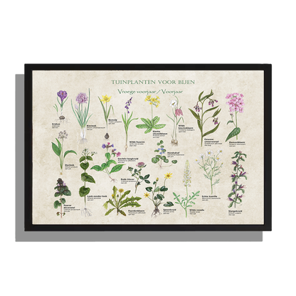 Ingelijst "Tuinplanten voor bijen - voorjaar"