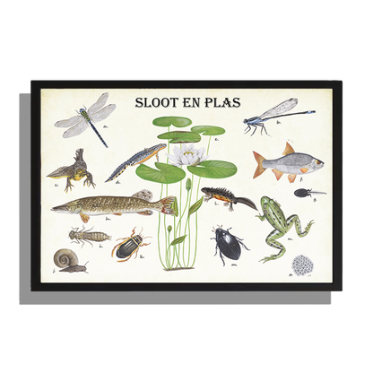 Ingelijst "Sloot en plas"