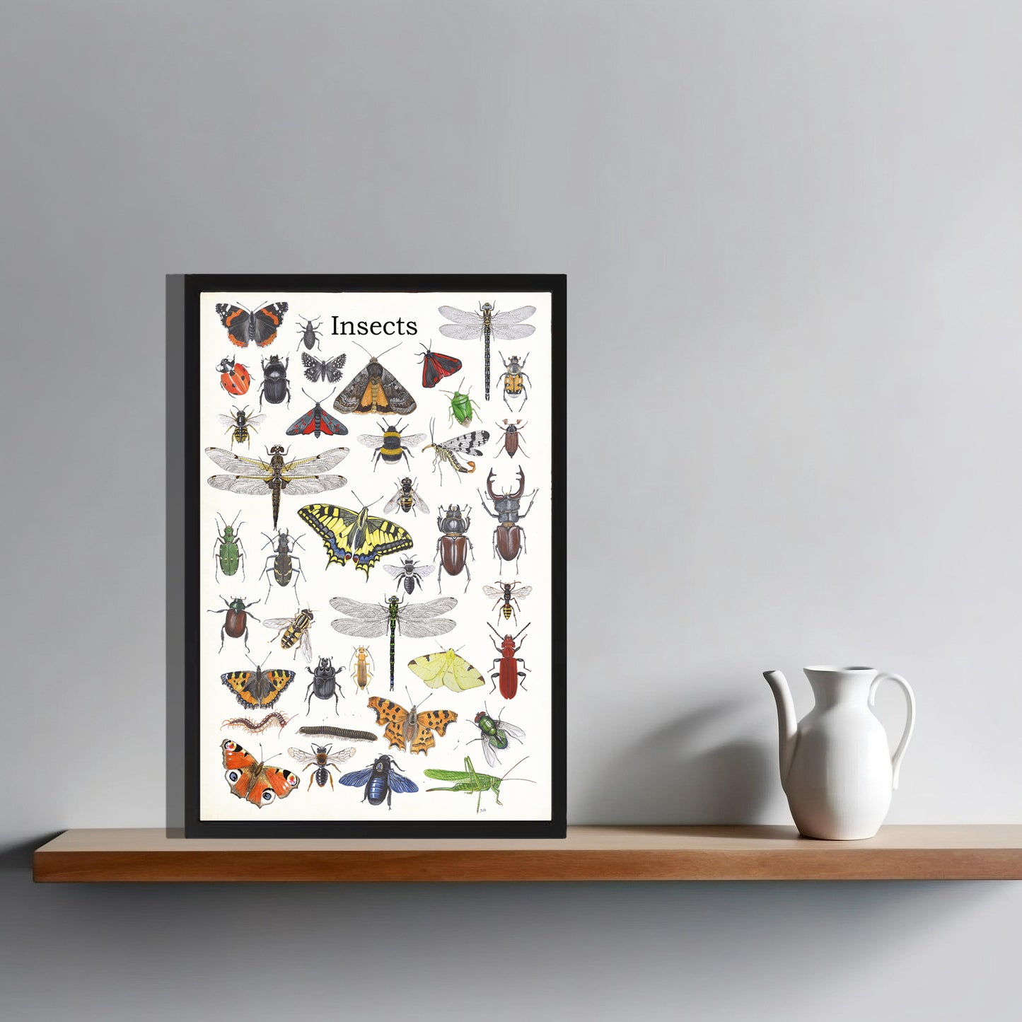 Ingelijst "Insects"