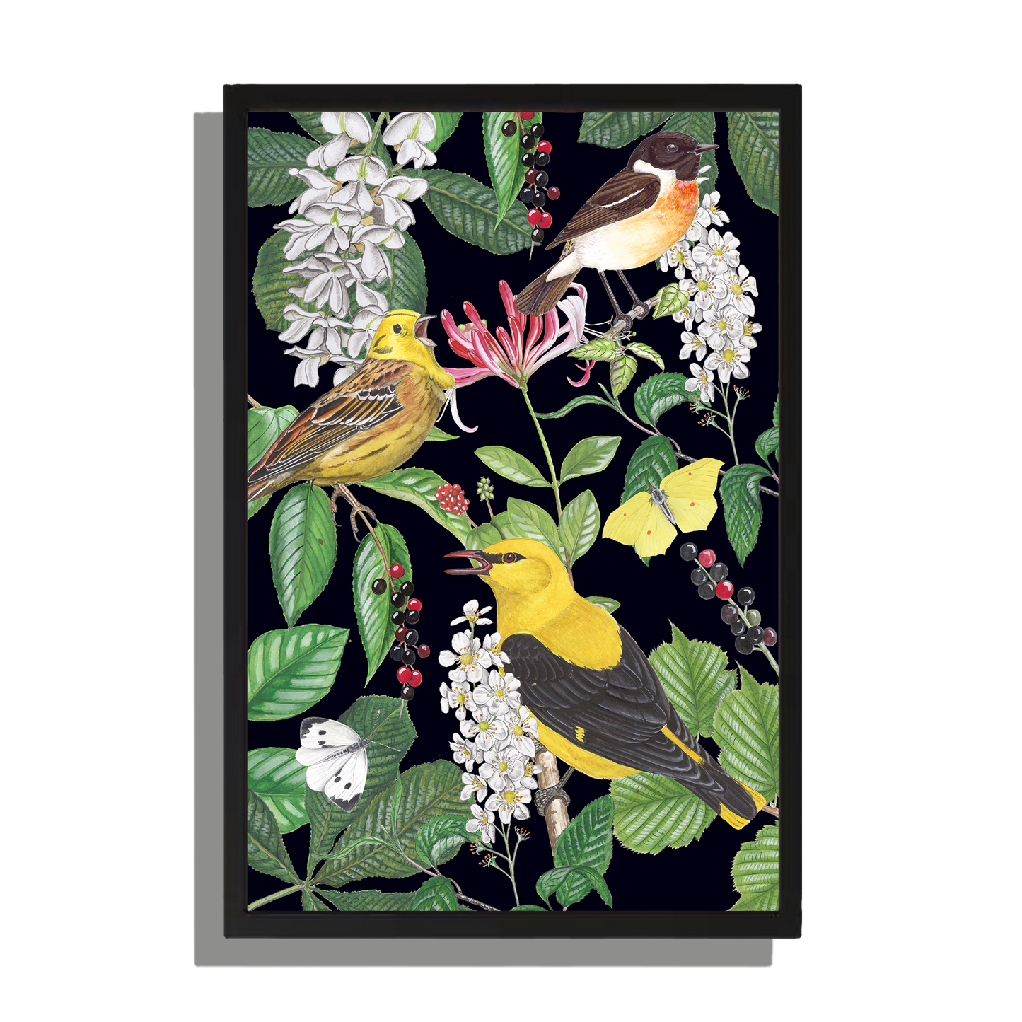 Ingelijst "Kamperfoelie met vogels"