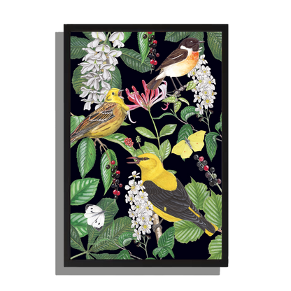 Ingelijst "Kamperfoelie met vogels"