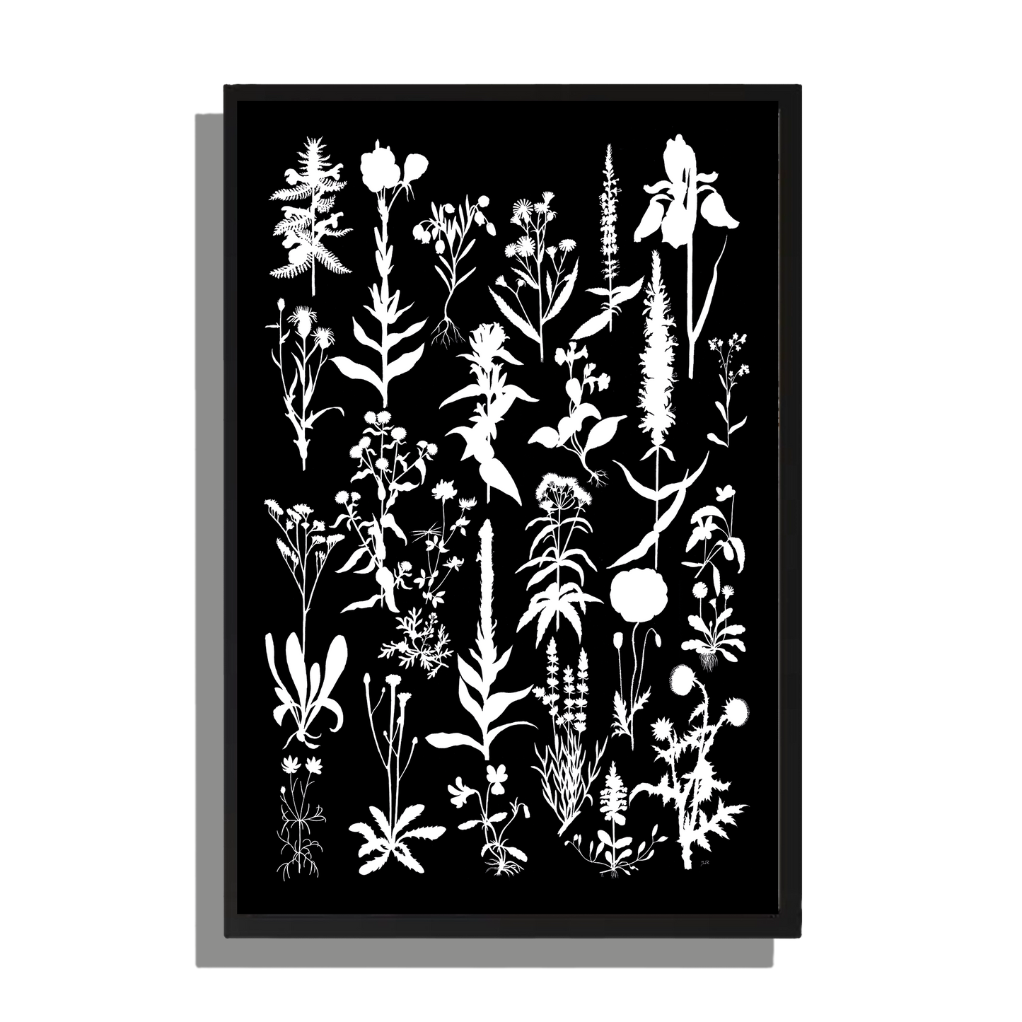 Wanddecoratie "Planten 2 in witzwart"