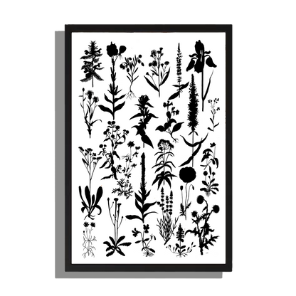 Ingelijst "Planten 2 in zwartwit"