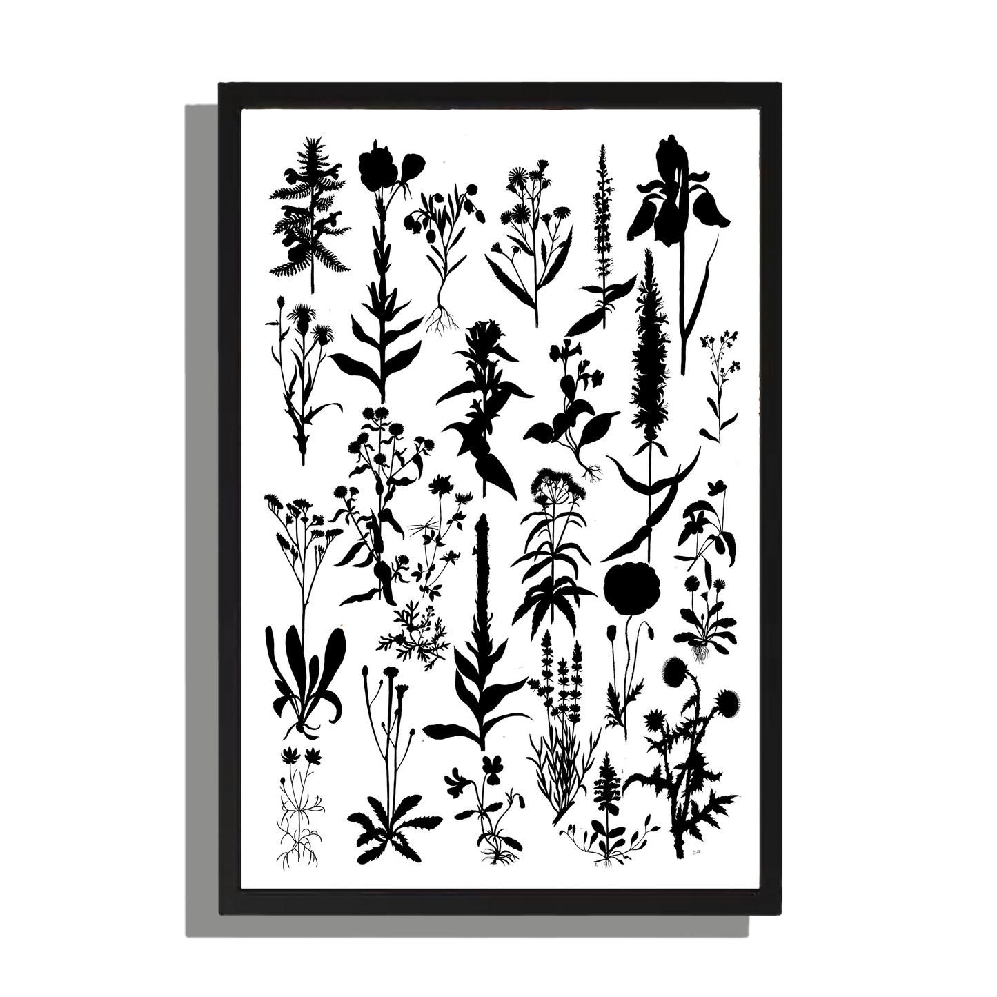 Wanddecoratie "Planten 2 in zwartwit"