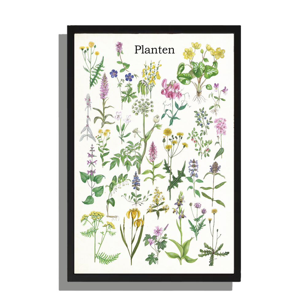 Ingelijst "Planten"