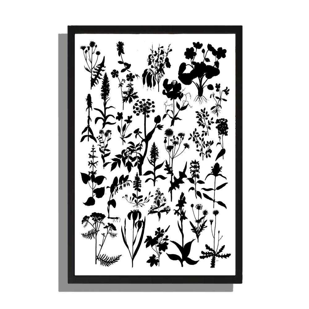 Ingelijst "Planten in zwartwit"