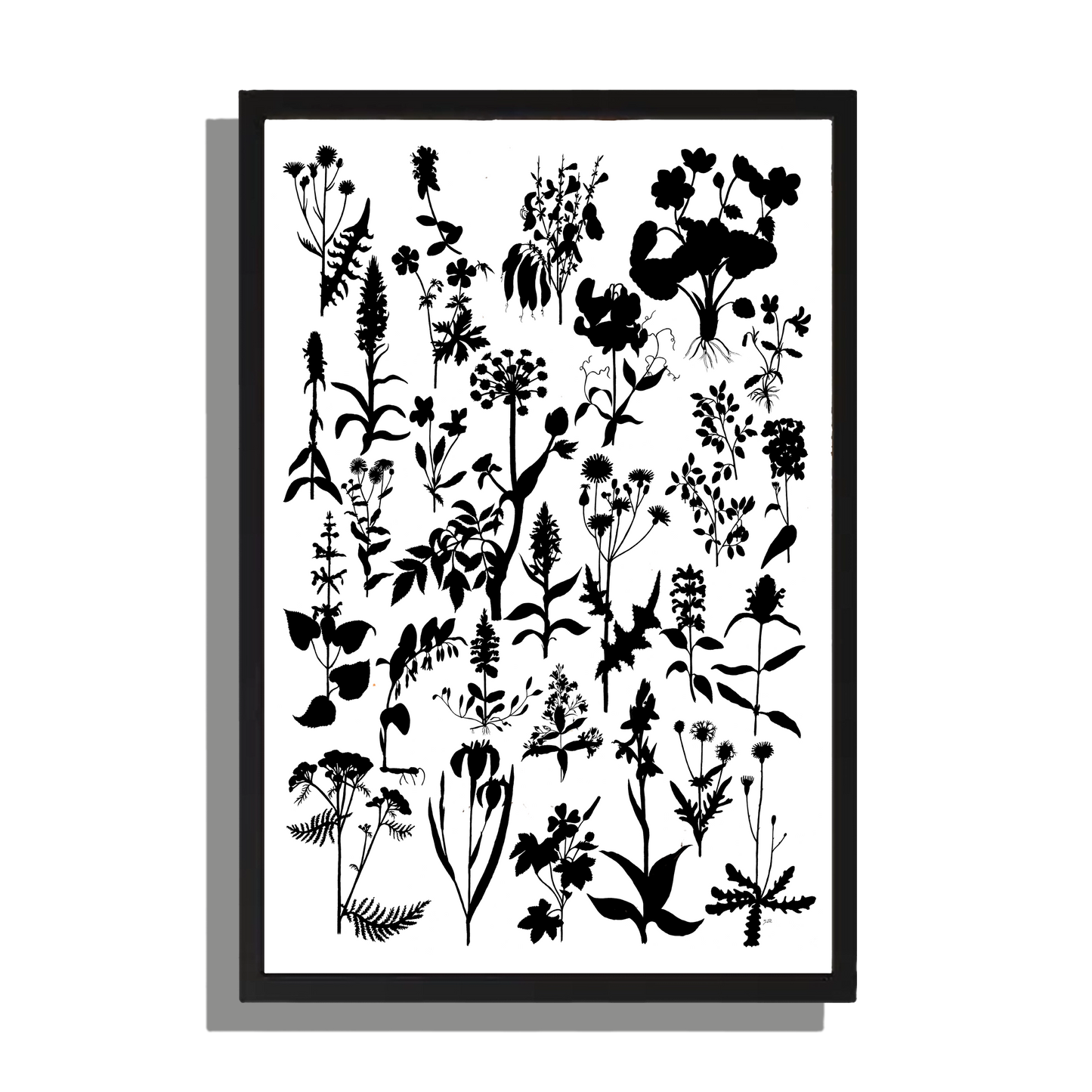 Wanddecoratie "Planten in zwartwit"