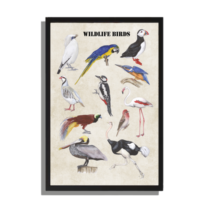 Ingelijst "Wildlife Birds"