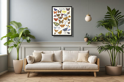 Ingelijst "Butterflies"