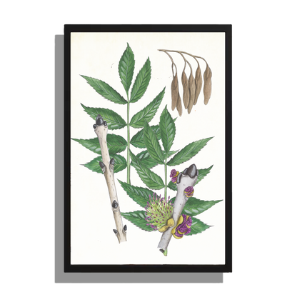 Wanddecoratie "Gewone es, het leven van"