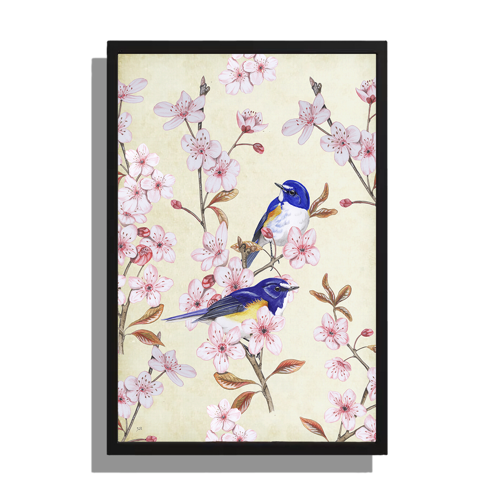 Ingelijst "Japanse Bluebird op Japanse kers"