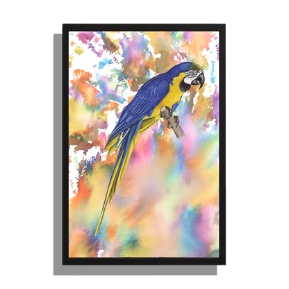 Ingelijst "Blauwe ara"