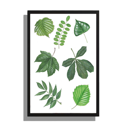 Wanddecoratie "7 Bladeren"