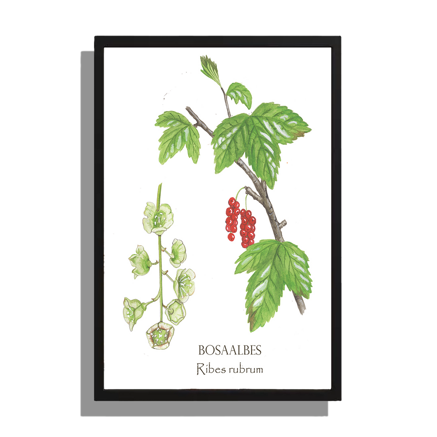 Wanddecoratie "Bosaalbes"