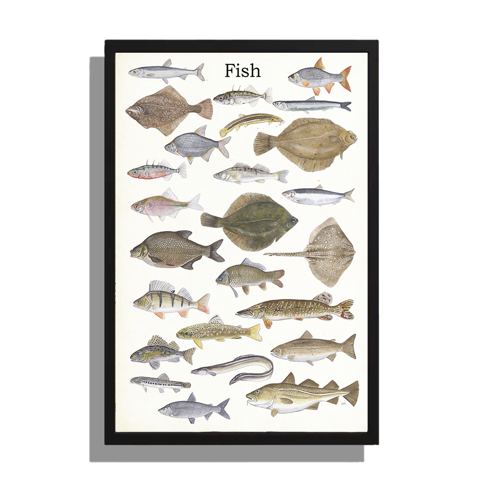 Ingelijst "Fish"
