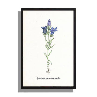 Wanddecoratie "Klokjesgentiaan"
