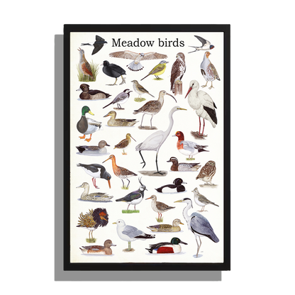 Wanddecoratie "Meadow Birds"