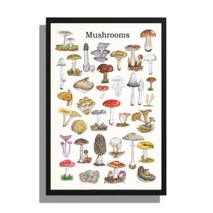 Ingelijst "Mushrooms"