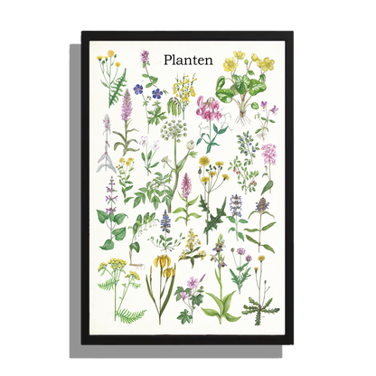 Wanddecoratie "Planten"