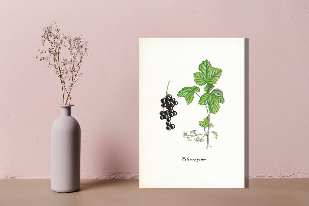 Wanddecoratie "Zwarte bes"