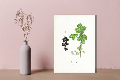 Wanddecoratie "Zwarte bes"