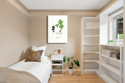 Wanddecoratie "Zwarte bes"