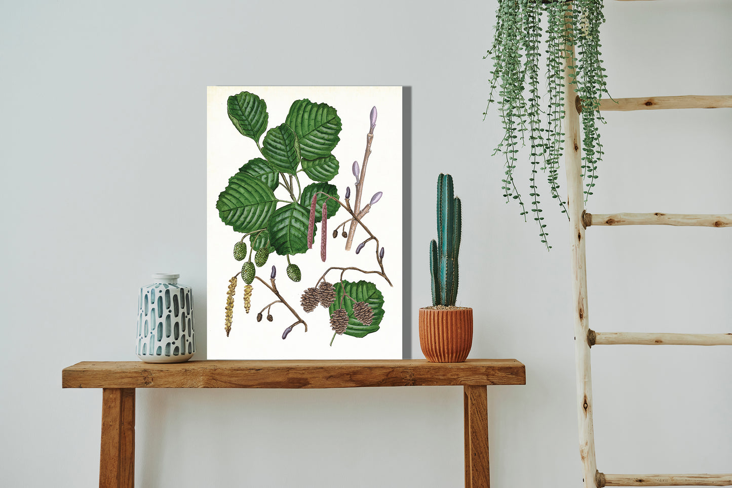 Wanddecoratie "Zwarte els, het leven van"