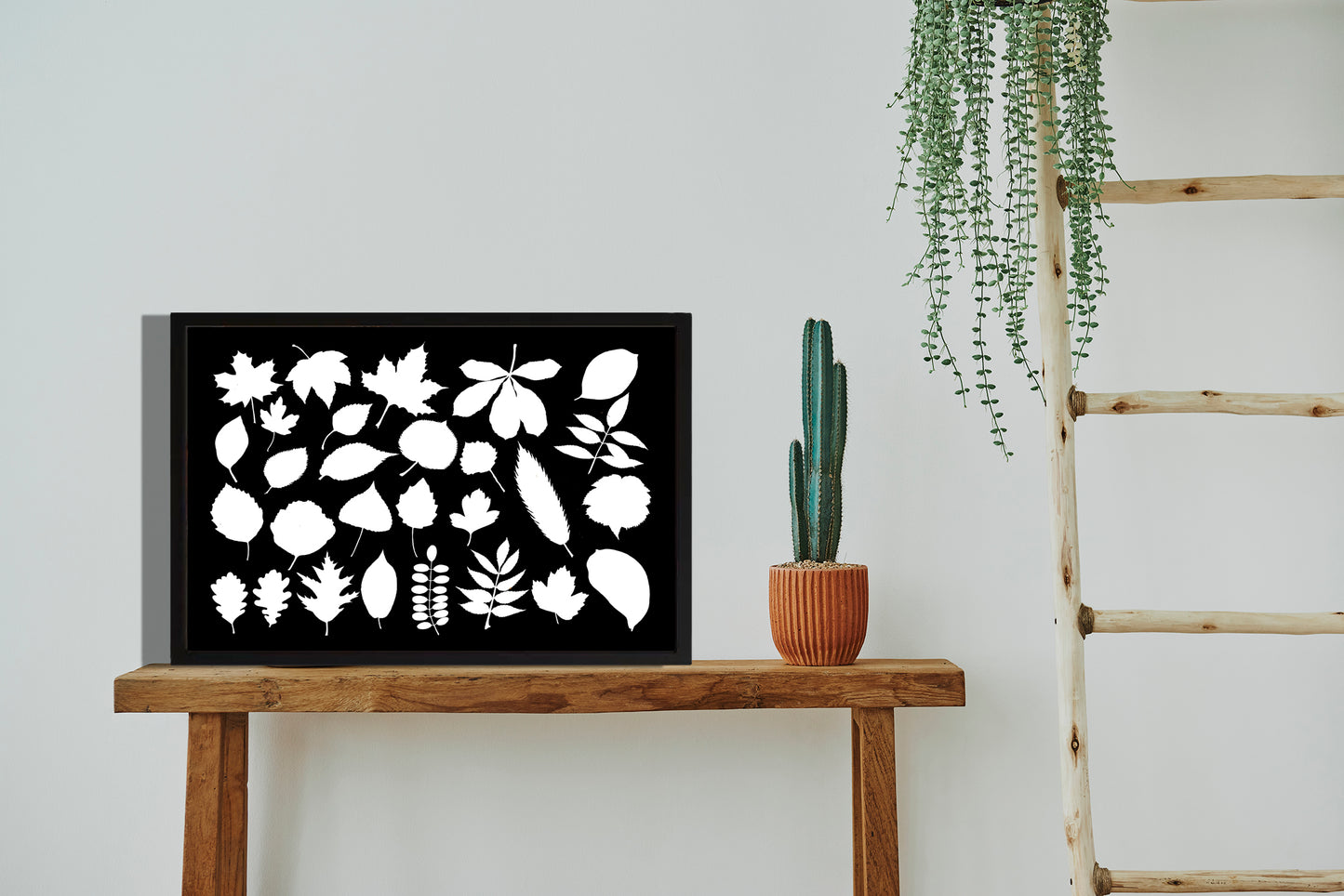 Ingelijst "Collage van bladeren witzwart"