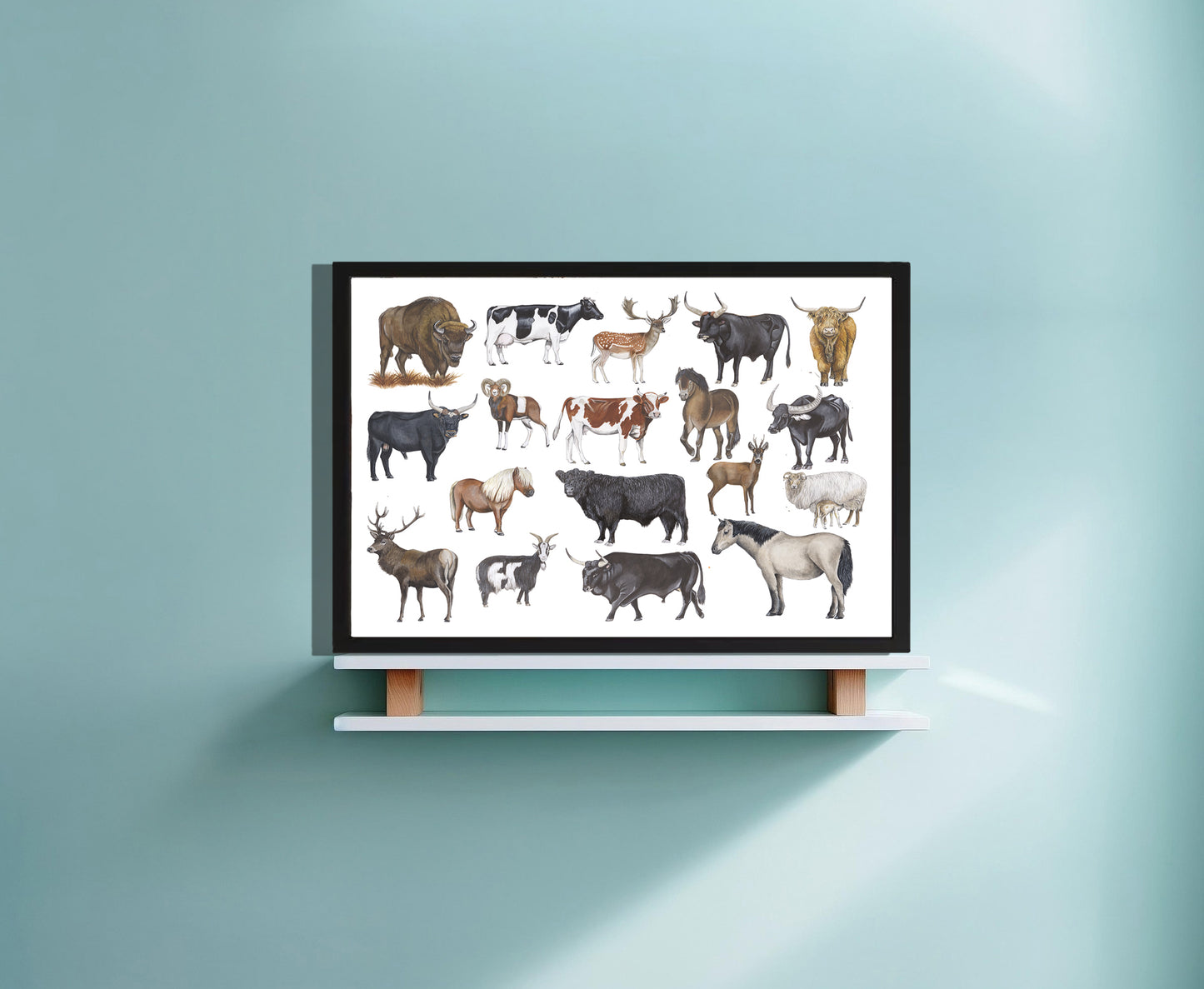 Ingelijst "Grote grazers"
