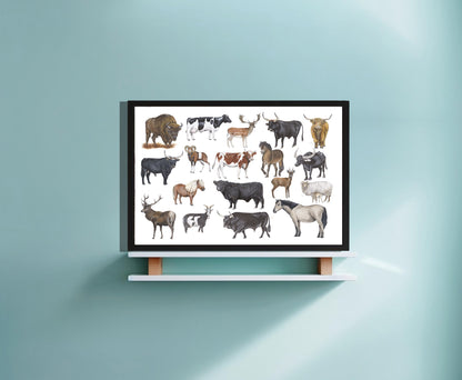 Ingelijst "Grote grazers"