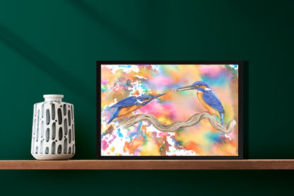 Ingelijst "IJsvogels | In een explosie van kleur"