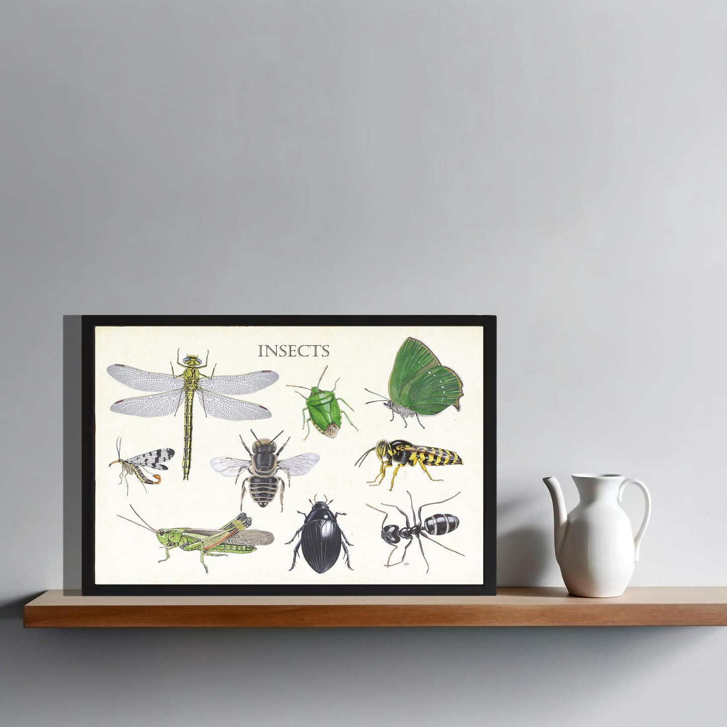 Ingelijst "Insects 2"